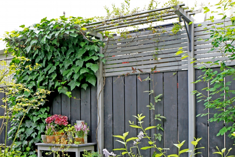 ブロカント　庭