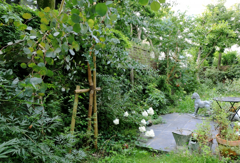 ブロカント　庭