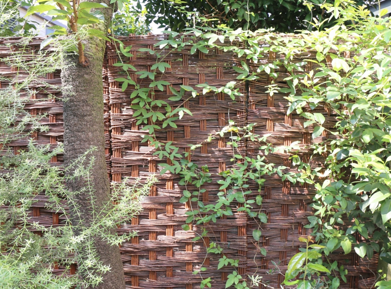 ブロカント　庭