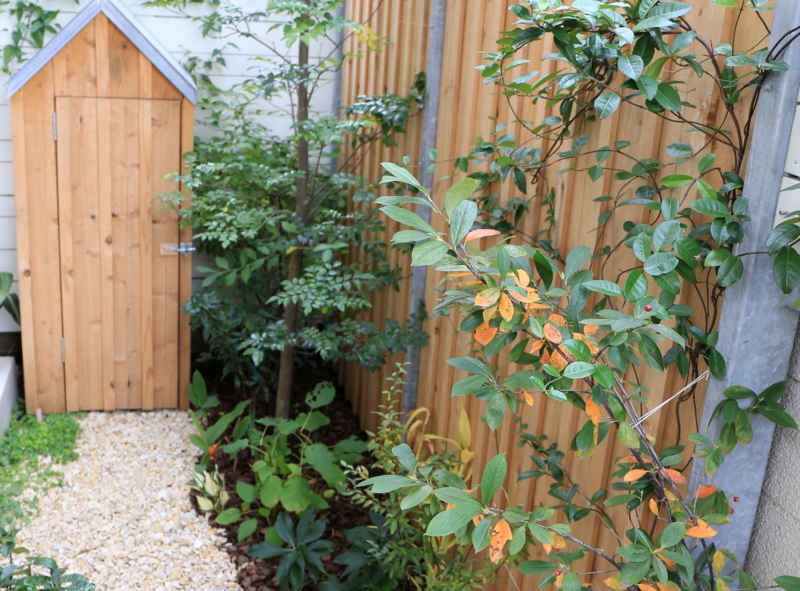 ブロカント　庭