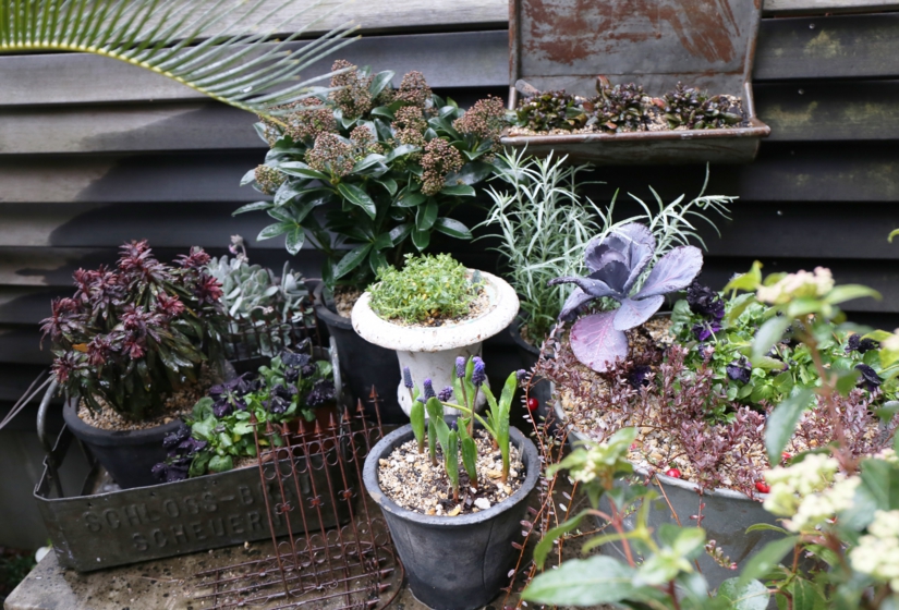 ブロカント　庭