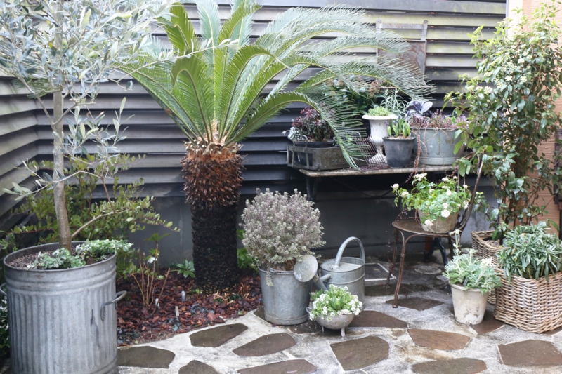 ブロカント　庭