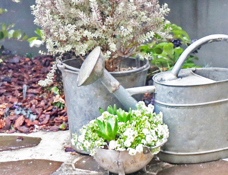 ブロカント　庭