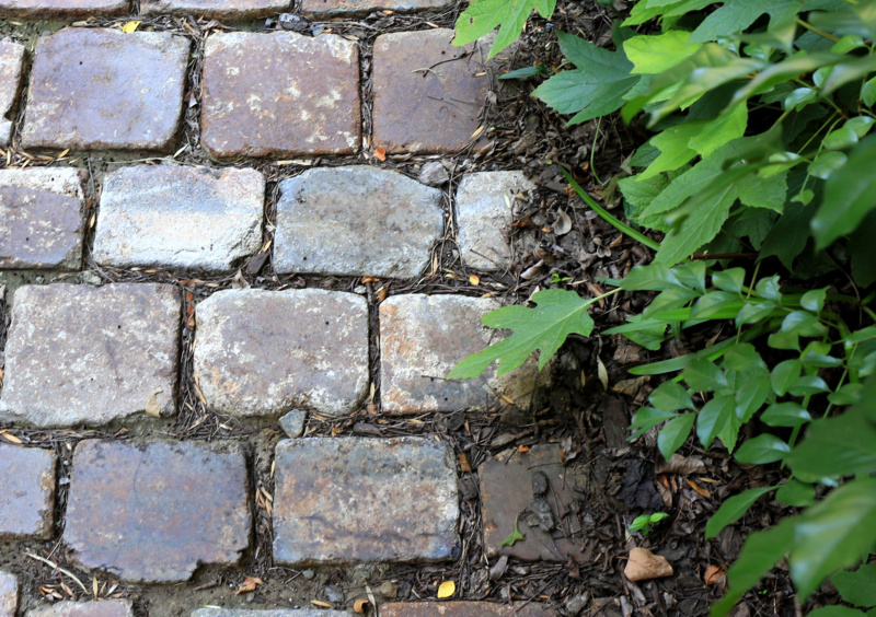 ブロカント　庭