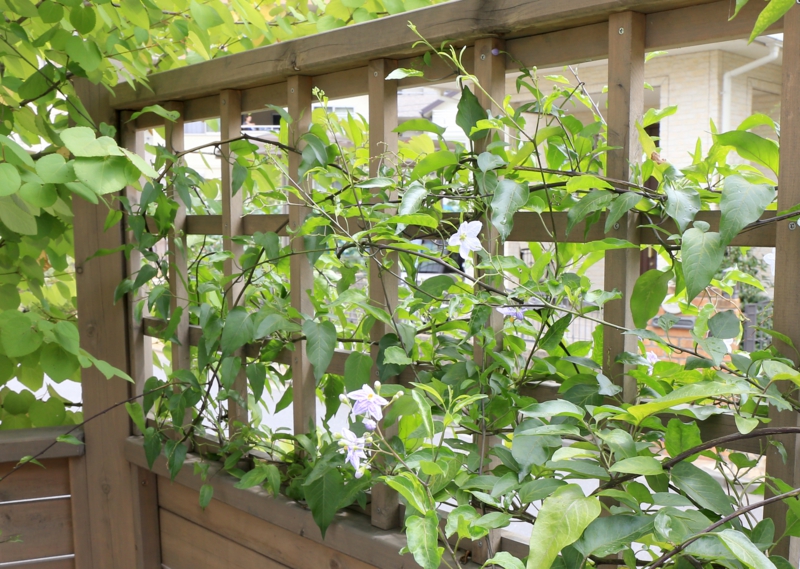 ブロカント　庭